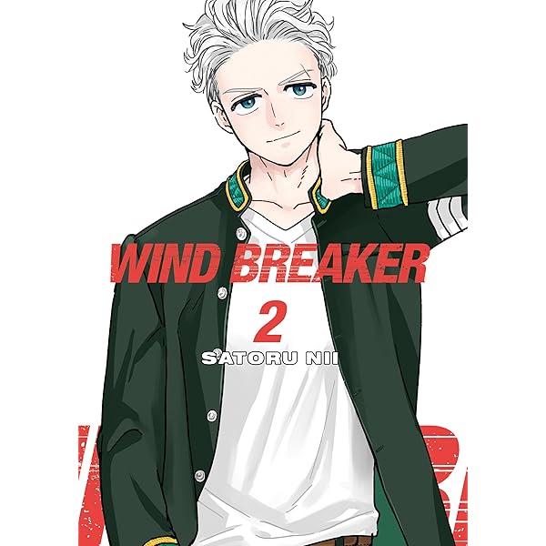 WIND BREAKER 1 : Nii, Satoru: Amazon.co.za: Books
